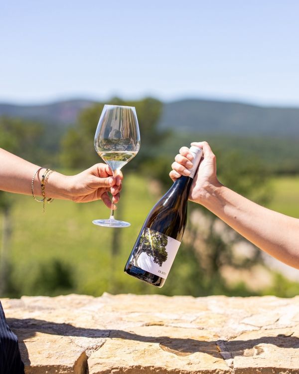 wines