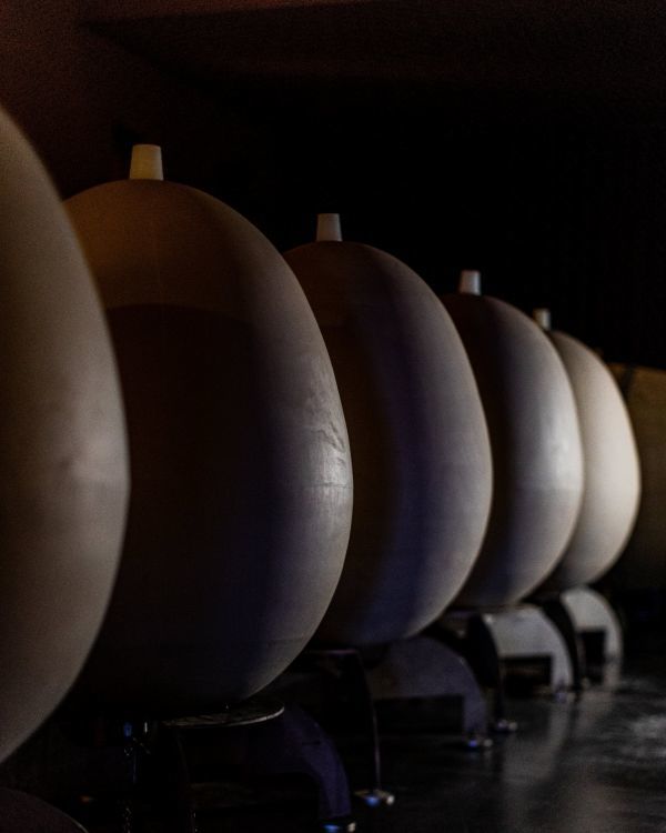 wines