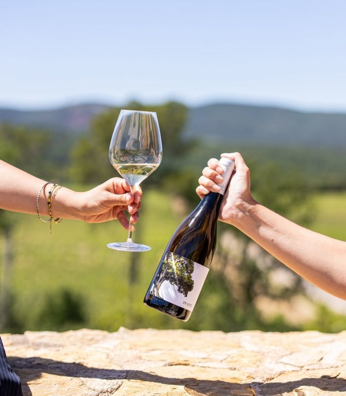 wines
